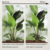 Reusable Plant Stem - Viconzo™