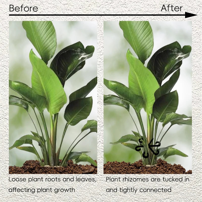 Reusable Plant Stem - Viconzo™
