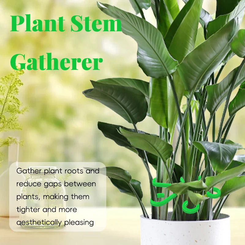 Reusable Plant Stem - Viconzo™